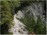 Dom Planica - Ciprnik